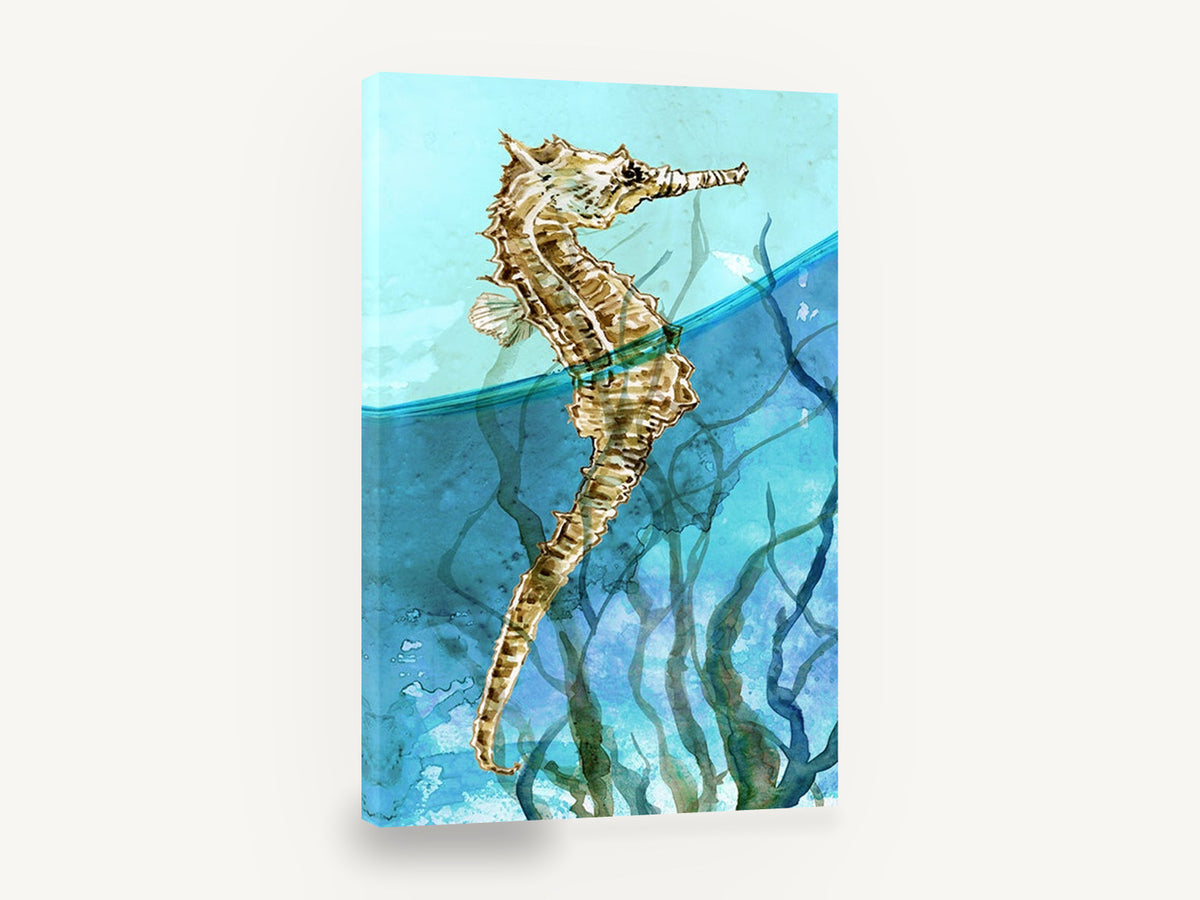 Seahorse at the Surface, seahorse watercolour marine illustration, coastal canvas wall art print ready to hang