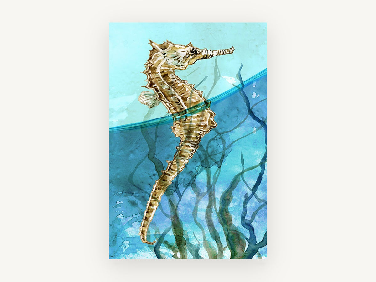 Seahorse at the Surface, coastal canvas wall art print, front view
