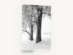 Hoarfrost Trees, frosted trees black and white photograph, floral canvas wall art print ready to hang