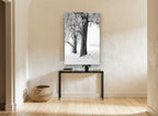 Hoarfrost Trees floral canvas print on the wall of a hallway