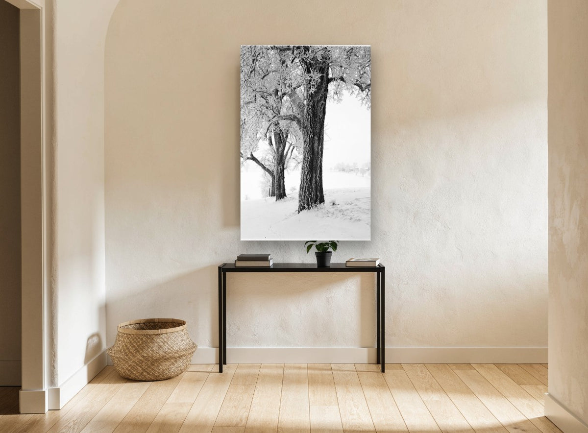 Hoarfrost Trees floral canvas print on the wall of a hallway