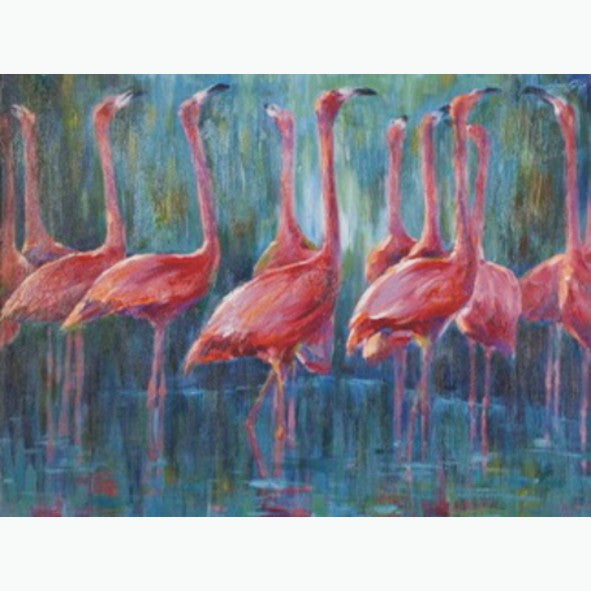 Flamingo