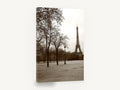 Winter Trees Beneath the Tower, eiffel tower sepia park photograph, city canvas wall art print ready to hang