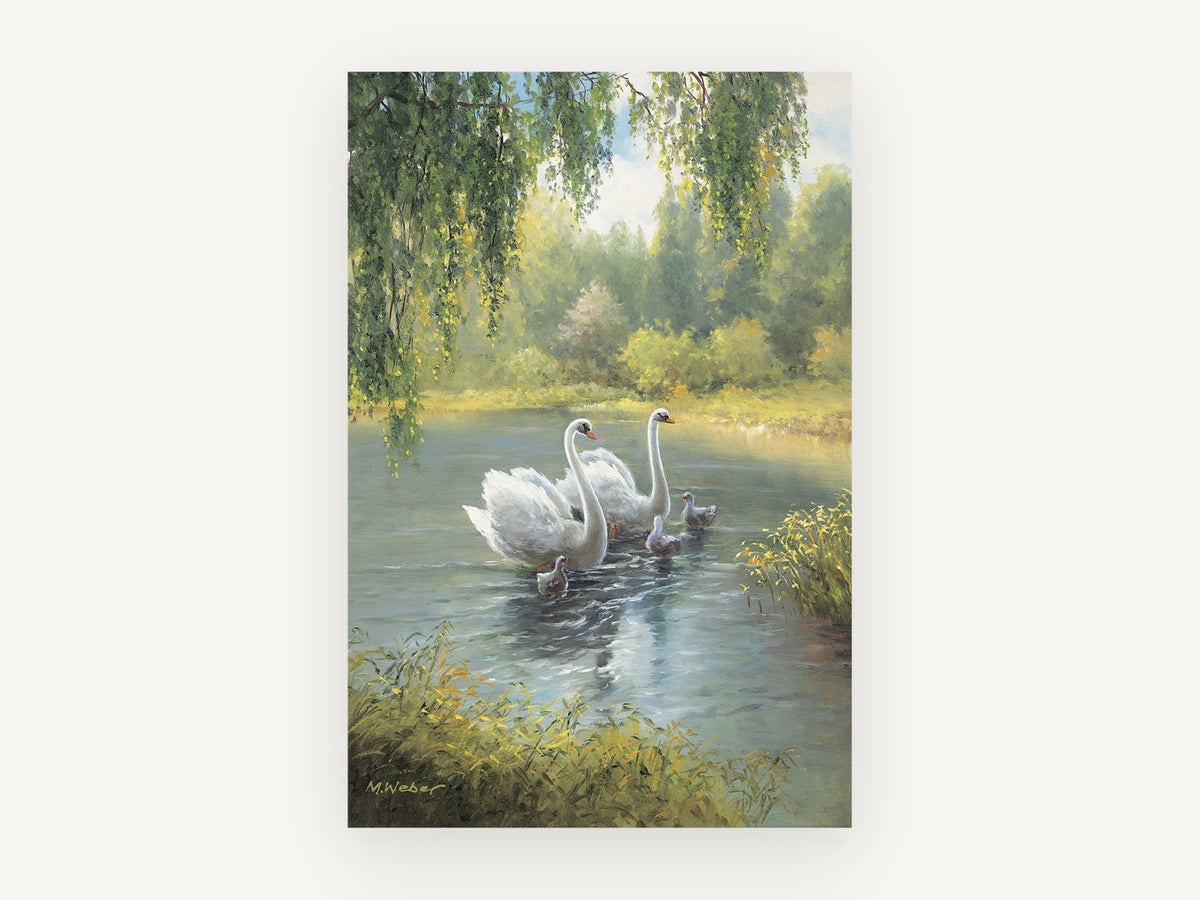 Swans on the Willow Pond, floral canvas wall art print, front view