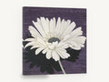 White Gerbera on Plum, white daisy flower purple wood illustration, floral canvas wall art print ready to hang