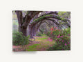 Azalea Oak Arch, oak tree arch azalea photograph, landscape canvas wall art print ready to hang