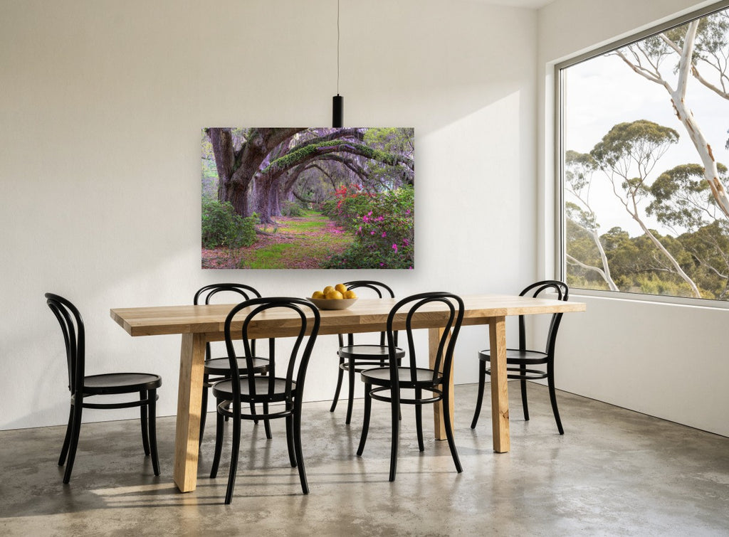 Azalea Oak Arch landscape canvas print on the wall of a dining room