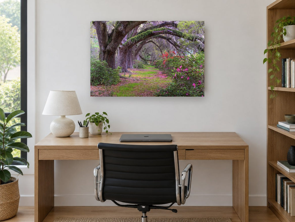 Azalea Oak Arch landscape canvas print on the wall of a study