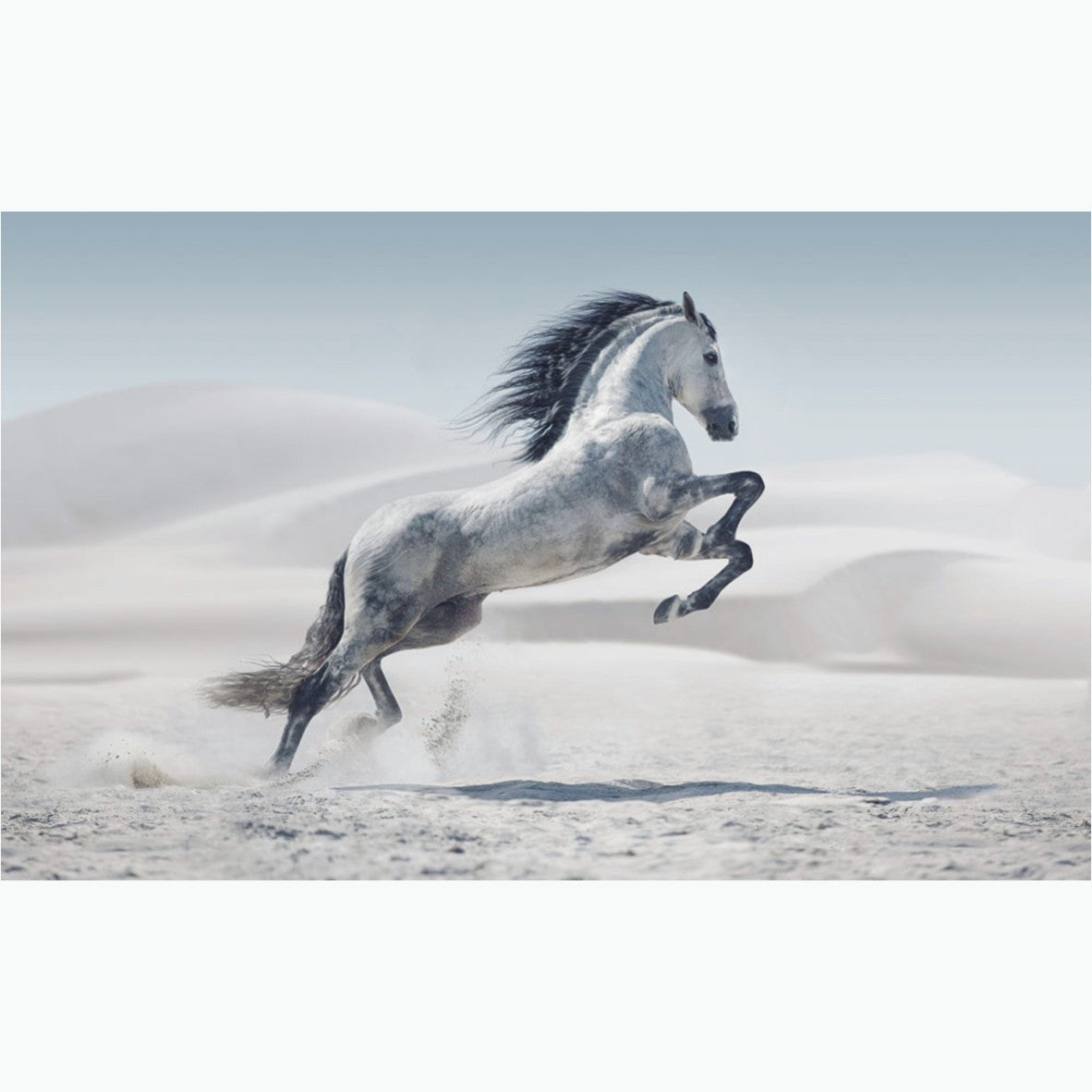 Unrestrained Freedom