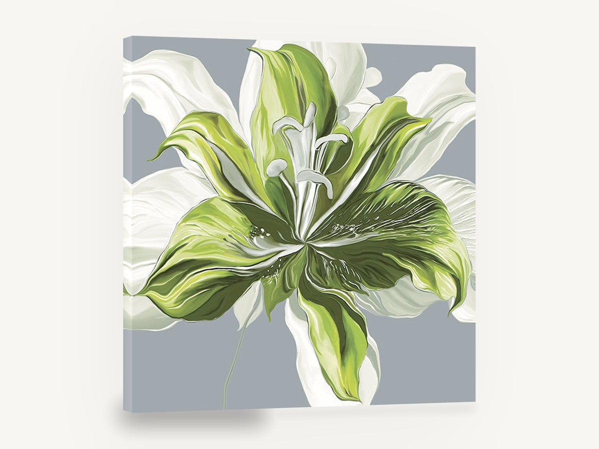 Green Lily Bloom, green and white lily floral illustration, floral canvas wall art print ready to hang