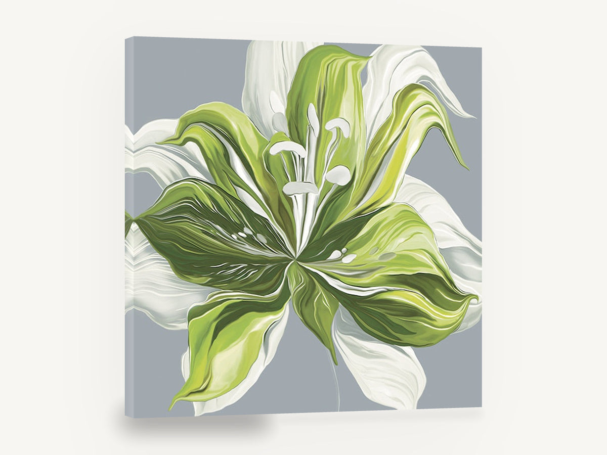 Green Lily Bloom, green and white lily floral illustration, floral canvas wall art print ready to hang