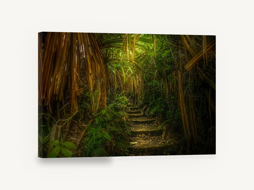 Lantern Jungle Steps, jungle path stone steps photograph, landscape canvas wall art print ready to hang