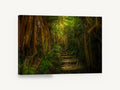 Lantern Jungle Steps, jungle path stone steps photograph, landscape canvas wall art print ready to hang