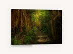 Lantern Jungle Steps, jungle path stone steps photograph, landscape canvas wall art print ready to hang