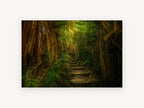 Lantern Jungle Steps, jungle path stone steps photograph, landscape canvas wall art print, front view