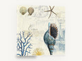 Seashells and Postmarks, vintage seashell collage coastal illustration, coastal canvas wall art print ready to hang
