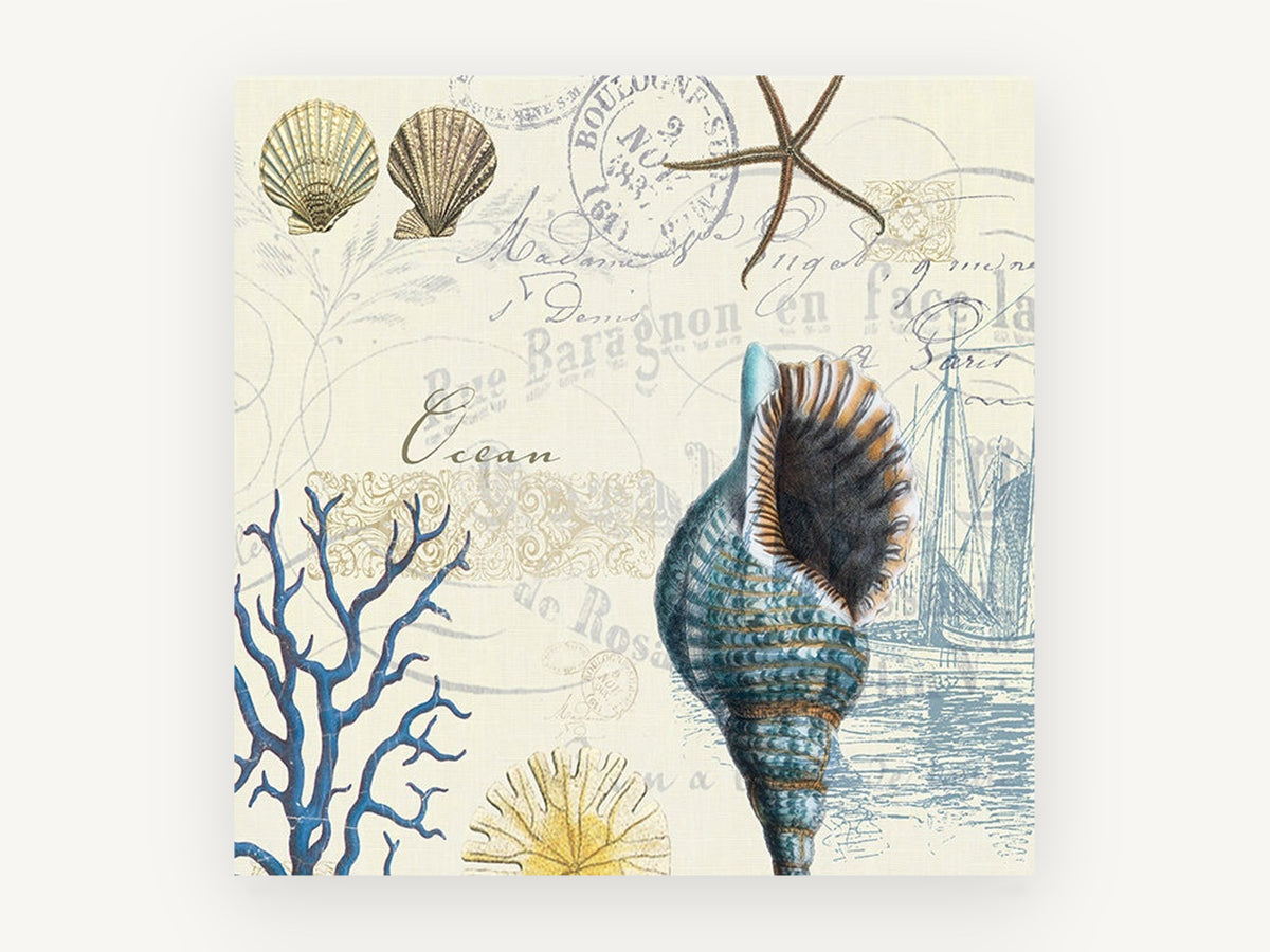Seashells and Postmarks, coastal canvas wall art print, front view