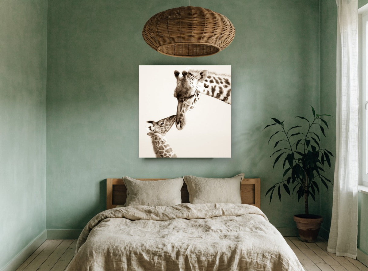 Giraffe Nuzzle animal canvas print on the wall of a bedroom