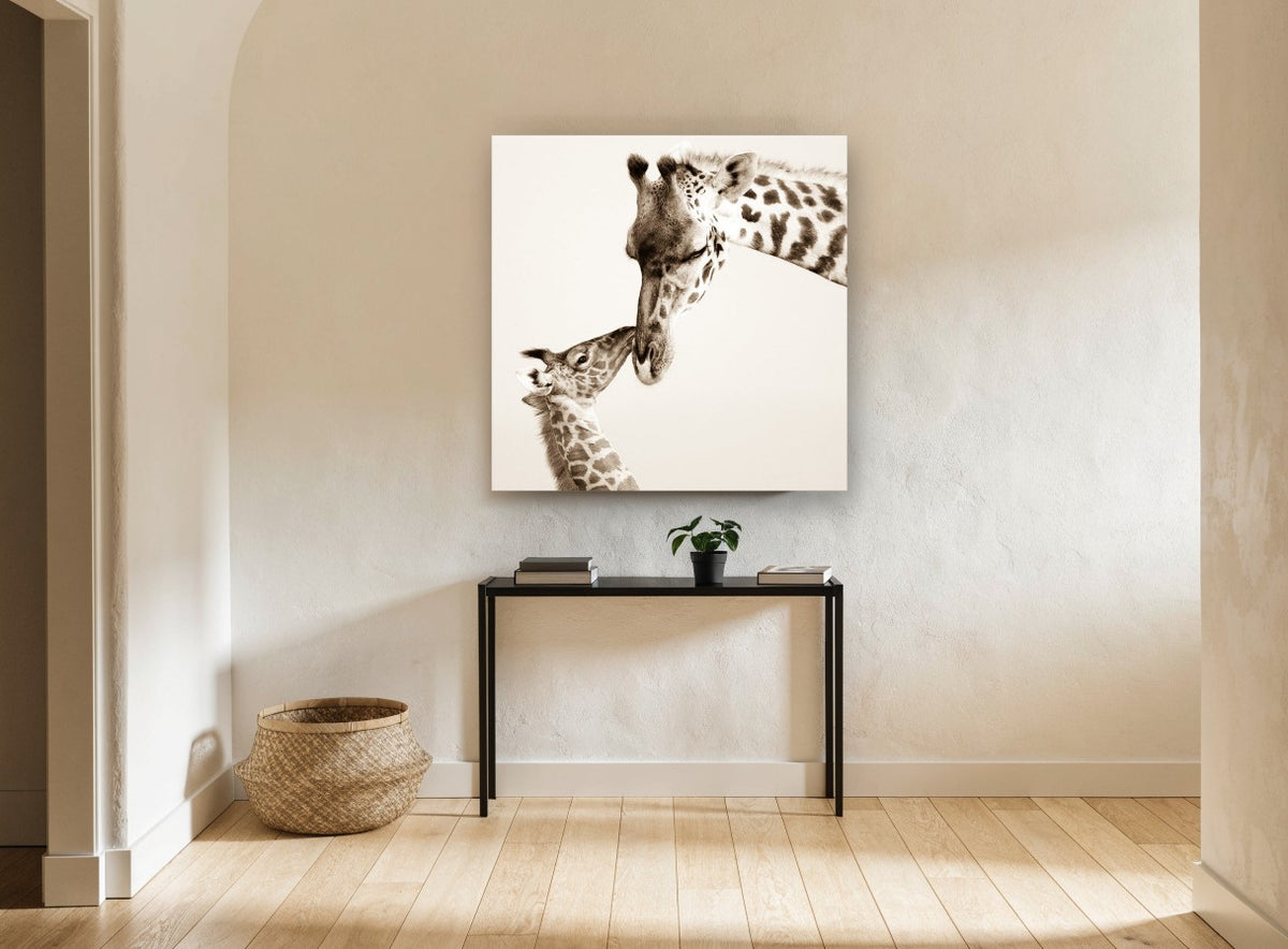 Giraffe Nuzzle animal canvas print on the wall of a hallway
