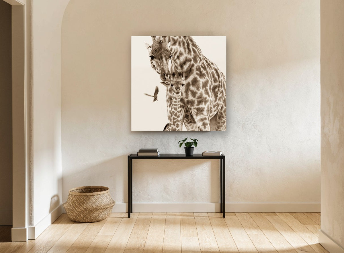 Giraffe Mother and Calf animal canvas print on the wall of a hallway