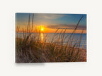 Dune Grass Sunrise, sunrise through dune grass photograph, coastal canvas wall art print ready to hang