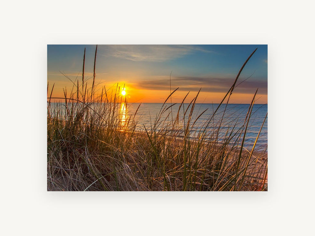 Dune Grass Sunrise, coastal canvas wall art print, front view
