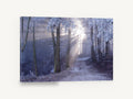 Frosted Forest Light, frosty forest path sunbeam photograph, landscape canvas wall art print ready to hang