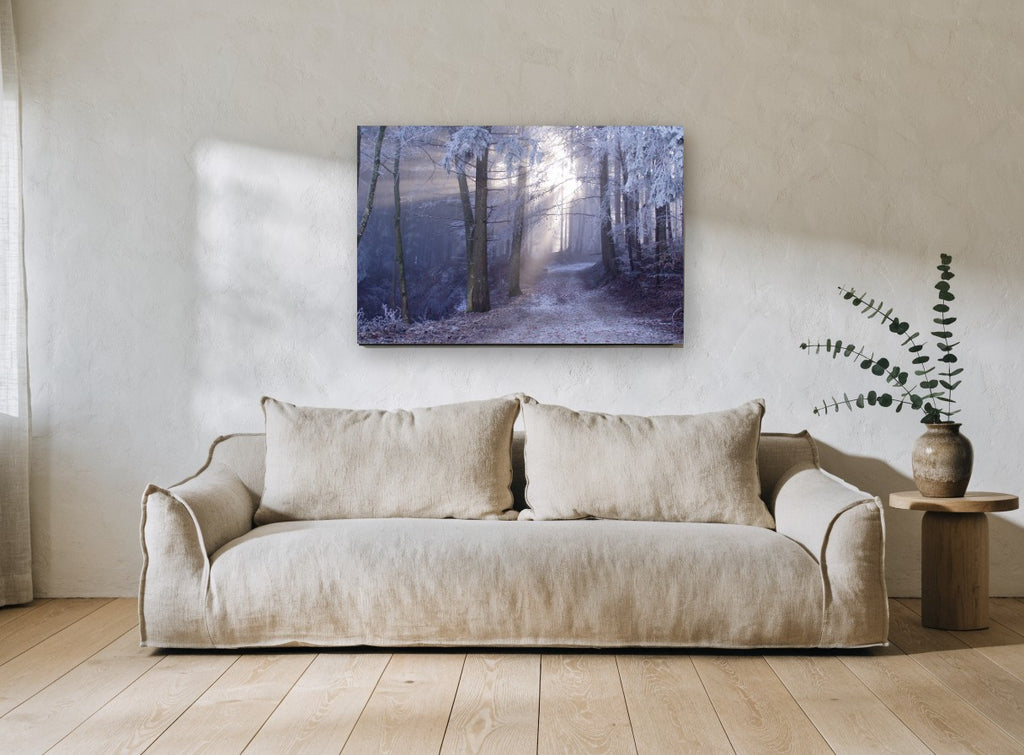 Frosted Forest Light landscape canvas print on the wall of a living room