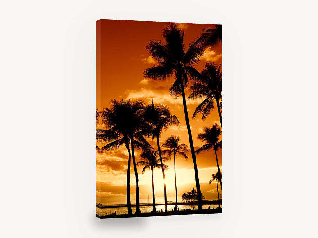 Golden Palm Horizon, tropical palm sunset photograph, coastal canvas wall art print ready to hang
