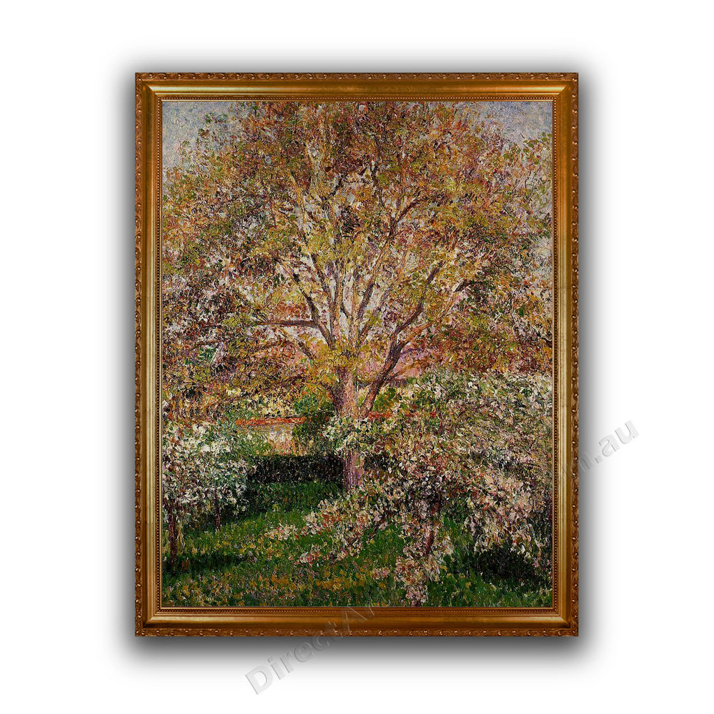 Camille Pissarro | The Walnut and Apple Trees in Bloom at Eragny
