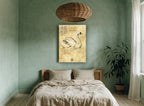 Swan Study Sketch vintage canvas print on the wall of a bedroom