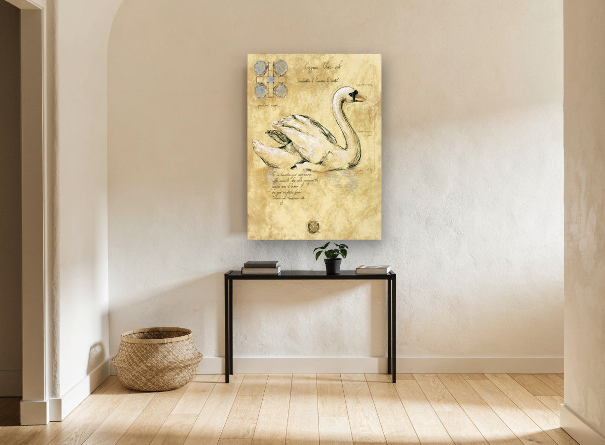 Swan Study Sketch vintage canvas print on the wall of a hallway