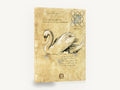 Parchment Swan Glide, vintage swan study sketch, stretched canvas wall art print ready to hang