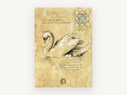Parchment Swan Glide, vintage canvas wall art print, front view