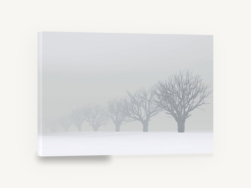 Fading Winter Orchard, foggy snow tree row photograph, landscape canvas wall art print ready to hang