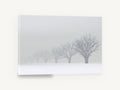 Fading Winter Orchard, foggy snow tree row photograph, landscape canvas wall art print ready to hang