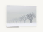 Fading Winter Orchard, foggy snow tree row photograph, landscape canvas wall art print ready to hang