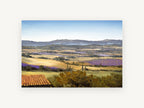 Lavender Valley Rooftop, lavender fields valley landscape painting, landscape canvas wall art print, front view