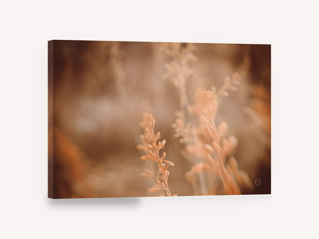 Amber Grass Haze, soft focus wild grass photograph, floral canvas wall art print ready to hang