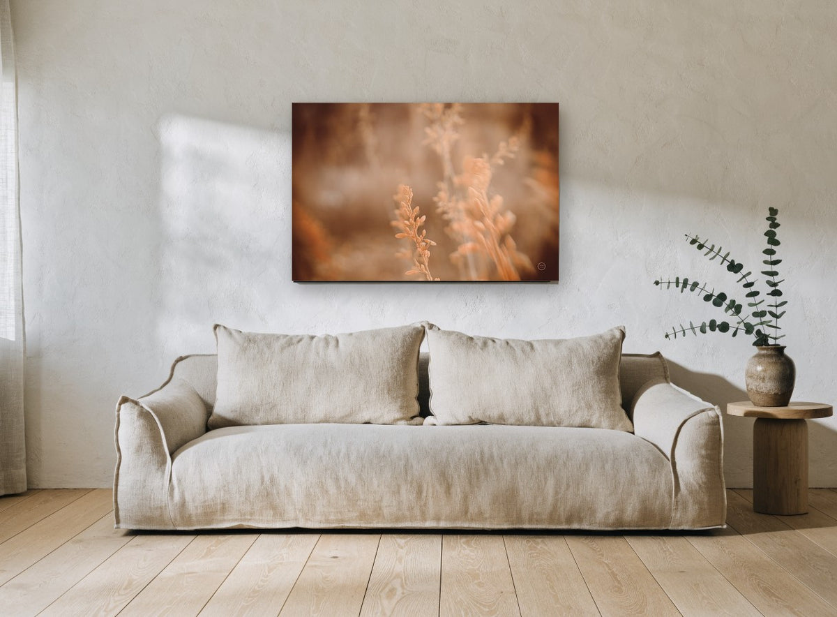 Amber Grass Haze floral canvas print on the wall of a living room