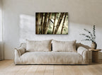 Bamboo Grove Glow landscape canvas print on the wall of a living room