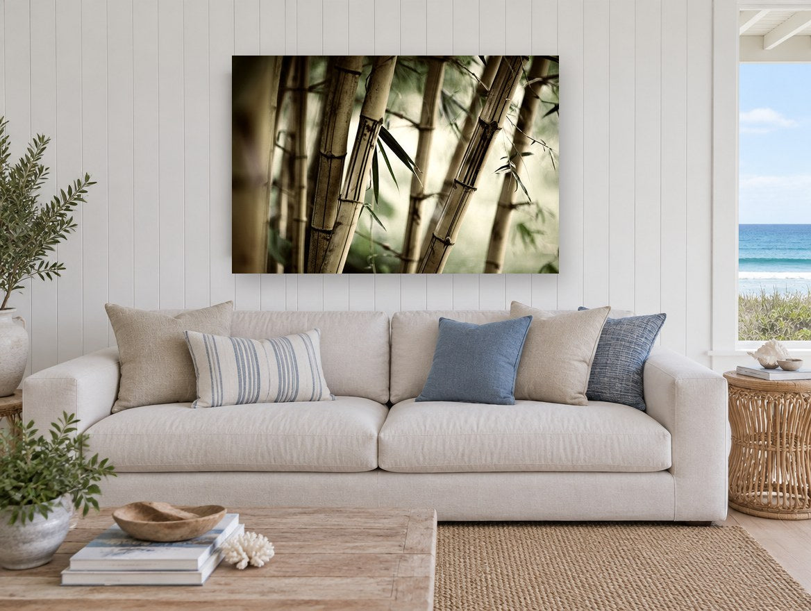 Bamboo Grove Glow landscape canvas print on the wall of a beach house living room