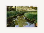Still Creek Reeds, reedy creek reflection landscape artwork, landscape canvas wall art print, front view