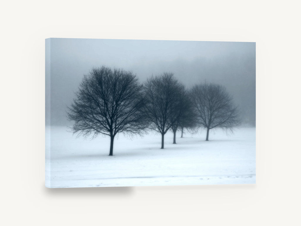 Winter Fog Row, bare trees in snow and fog photograph, landscape canvas wall art print ready to hang