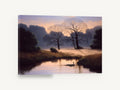 Dawn Mist Meadow, misty dawn trees river landscape, landscape canvas wall art print ready to hang