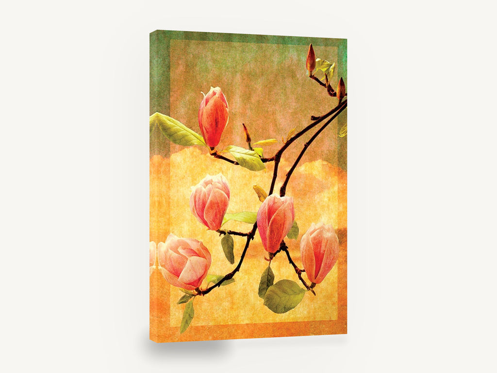 Magnolia Sunset Branch, pink magnolia blossoms textured botanical, floral canvas wall art print ready to hang