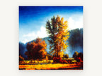 Golden Poplar Morning, autumn poplar valley landscape painting, landscape canvas wall art print, front view
