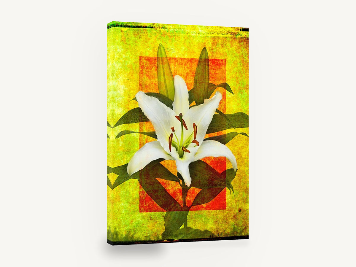 White Lily on Gold, white lily textured floral photograph, floral canvas wall art print ready to hang
