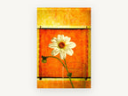 White Dahlia Sunburst, floral canvas wall art print, front view
