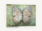 Pale Jewel Butterfly, cream butterfly specimen photograph, animal canvas wall art print ready to hang